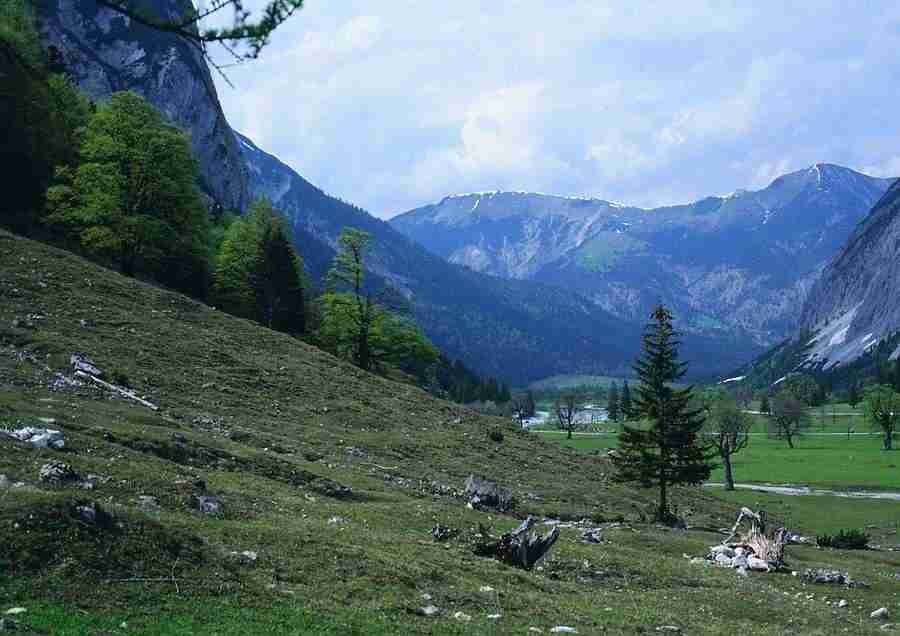 Mountains - BackArts ></a>
<script language=JavaScript> 
  var txt = 