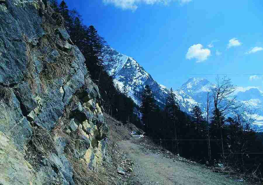 Mountains - BackArts ></a>
<script language=JavaScript> 
  var txt = 