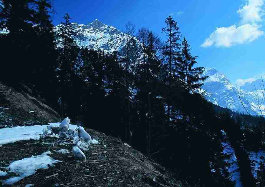 Mountains - BackArts ></a>
<script language=JavaScript> 
  var txt = 