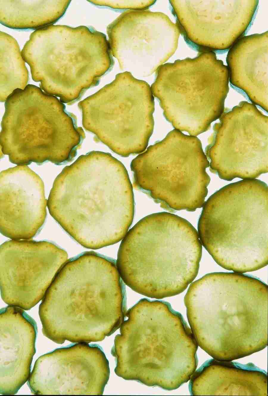 Meat, Vegetables and Paper - BackArts ></a>
<script language=JavaScript> 
  var txt = 