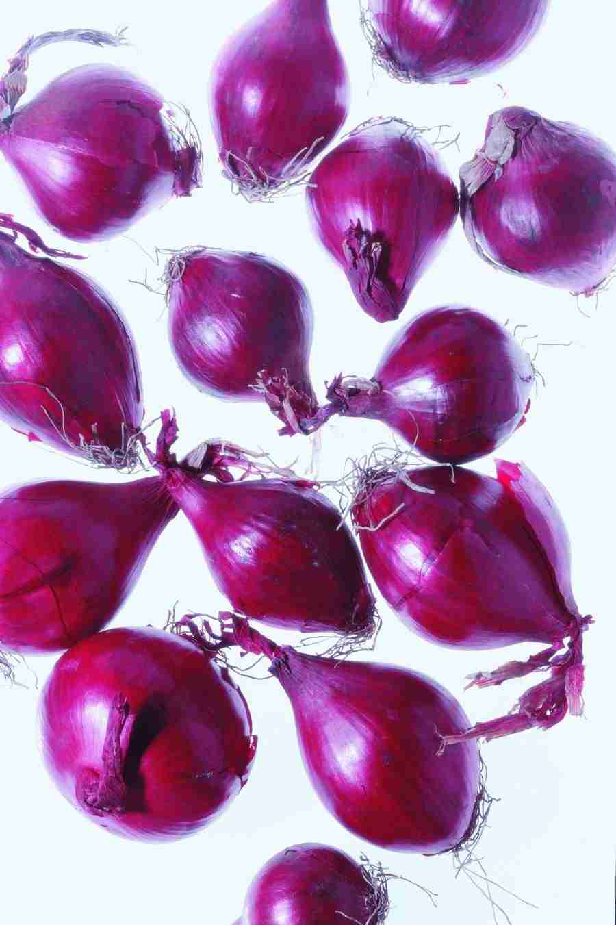 Meat, Vegetables and Paper - BackArts ></a>
<script language=JavaScript> 
  var txt = 