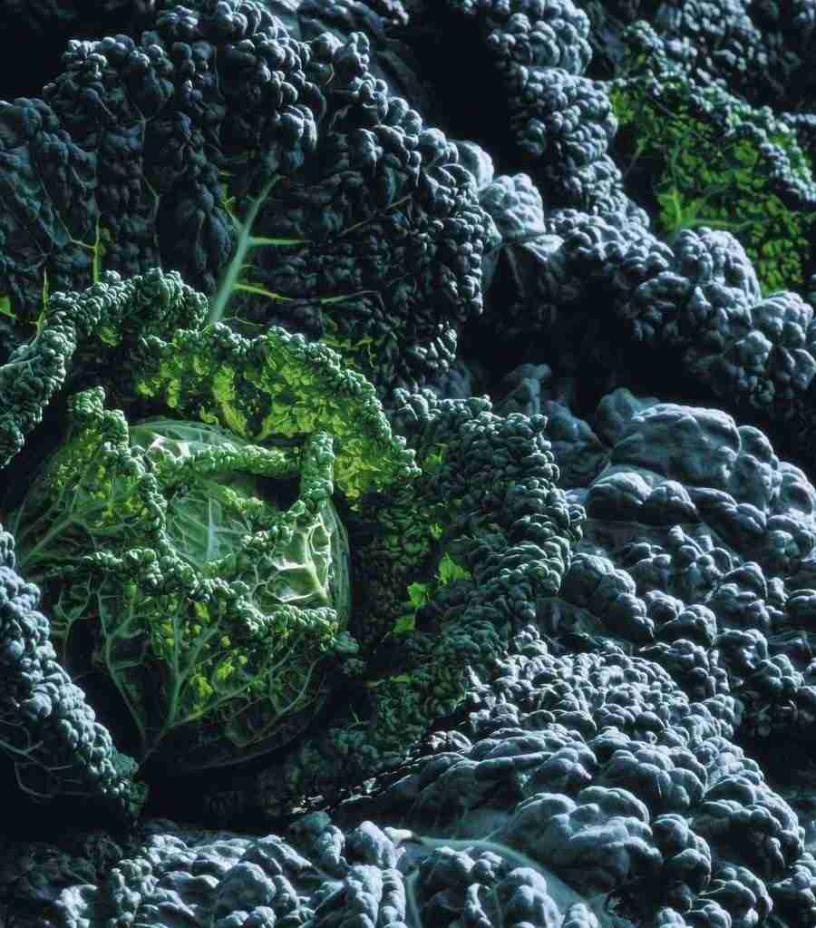 Meat, Vegetables and Paper - BackArts ></a>
<script language=JavaScript> 
  var txt = 