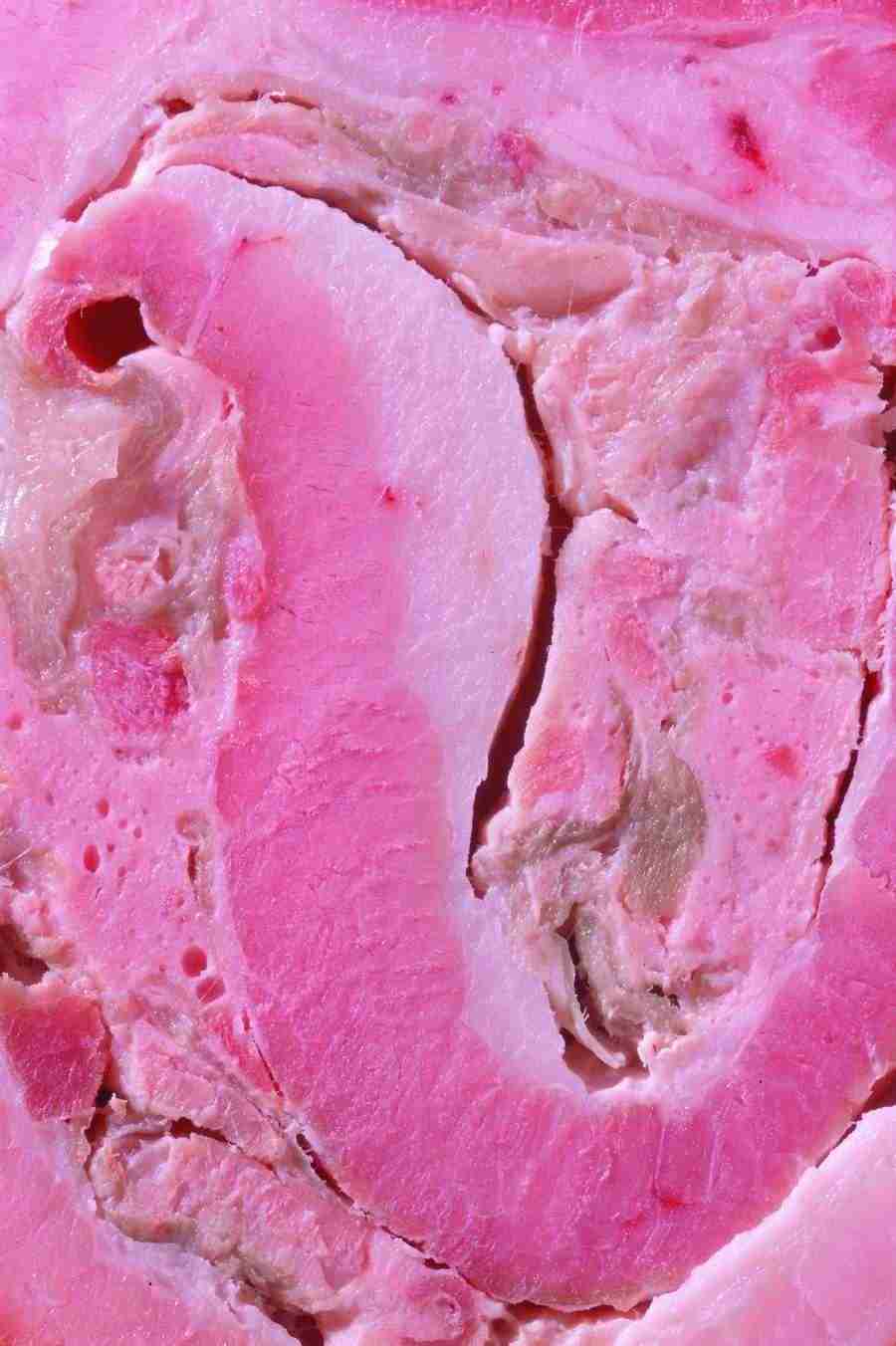 Meat, Vegetables and Paper - BackArts ></a>
<script language=JavaScript> 
  var txt = 