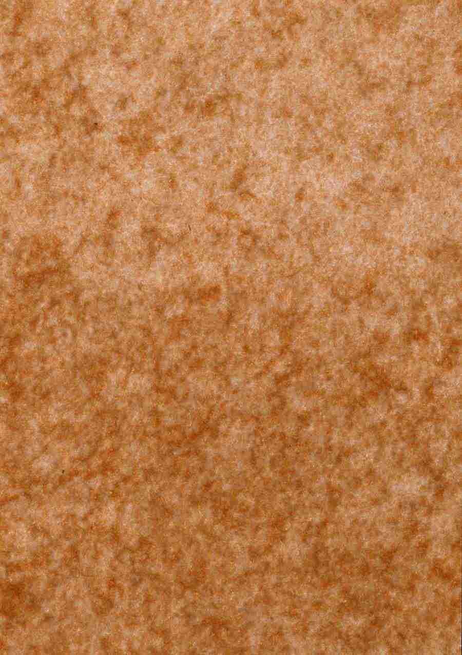 Meat, Vegetables and Paper - BackArts ></a>
<script language=JavaScript> 
  var txt = 