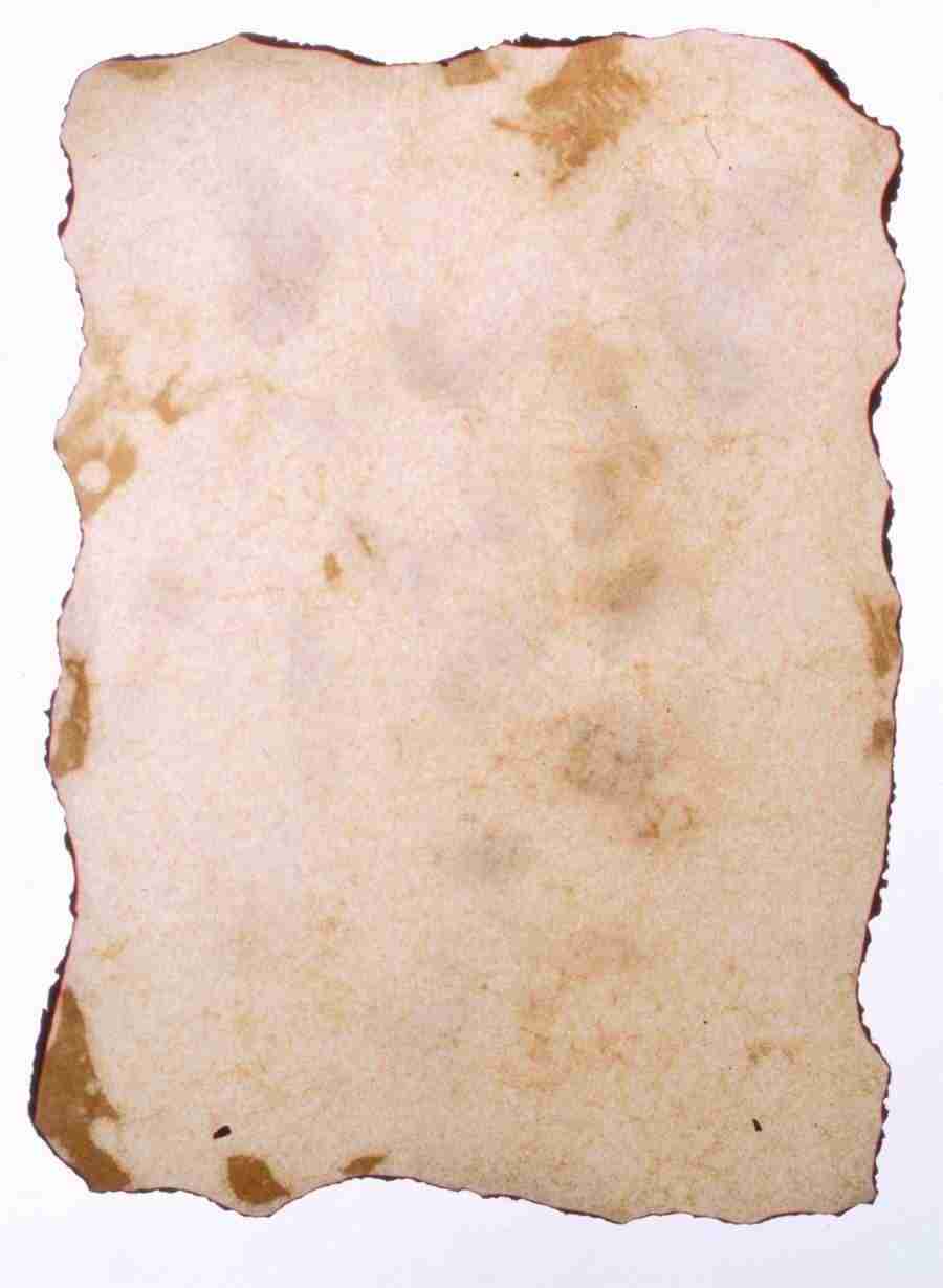 Meat, Vegetables and Paper - BackArts ></a>
<script language=JavaScript> 
  var txt = 