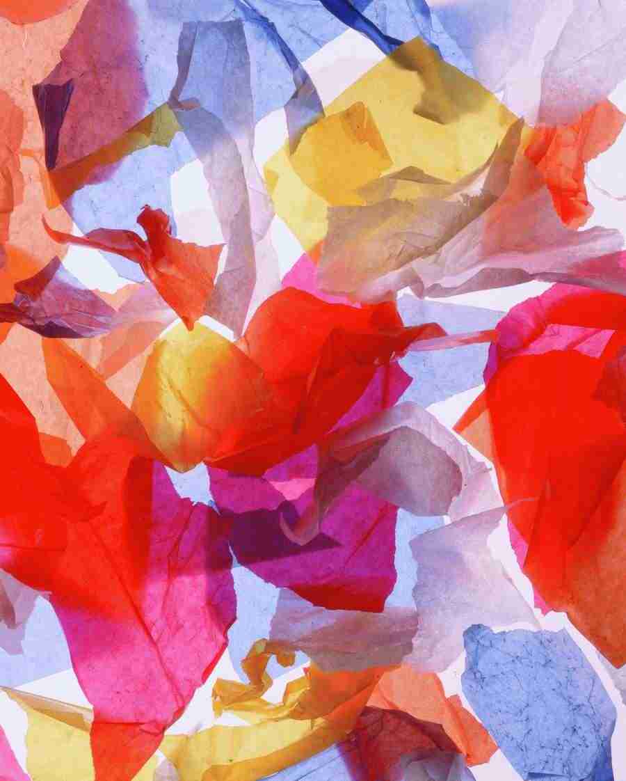 Meat, Vegetables and Paper - BackArts ></a>
<script language=JavaScript> 
  var txt = 