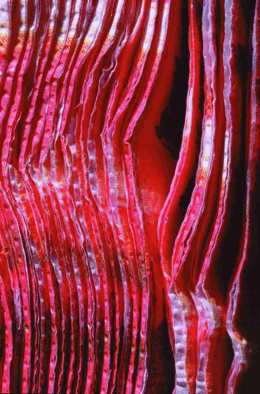 Meat, Vegetables and Paper - BackArts ></a>
<script language=JavaScript> 
  var txt = 