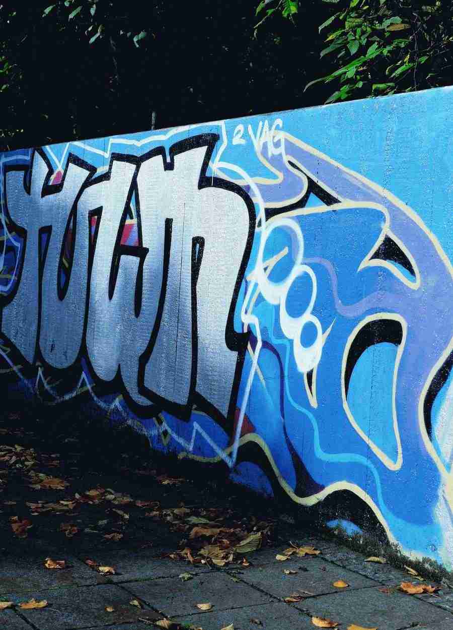 Sky, Grafitti and Fruits - BackArts ></a>
<script language=JavaScript> 
  var txt = 