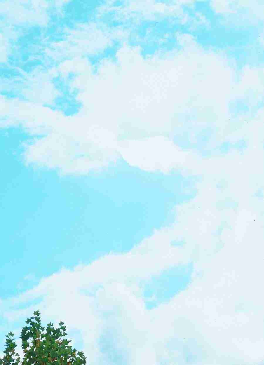 Sky, Grafitti and Fruits - BackArts ></a>
<script language=JavaScript> 
  var txt = 