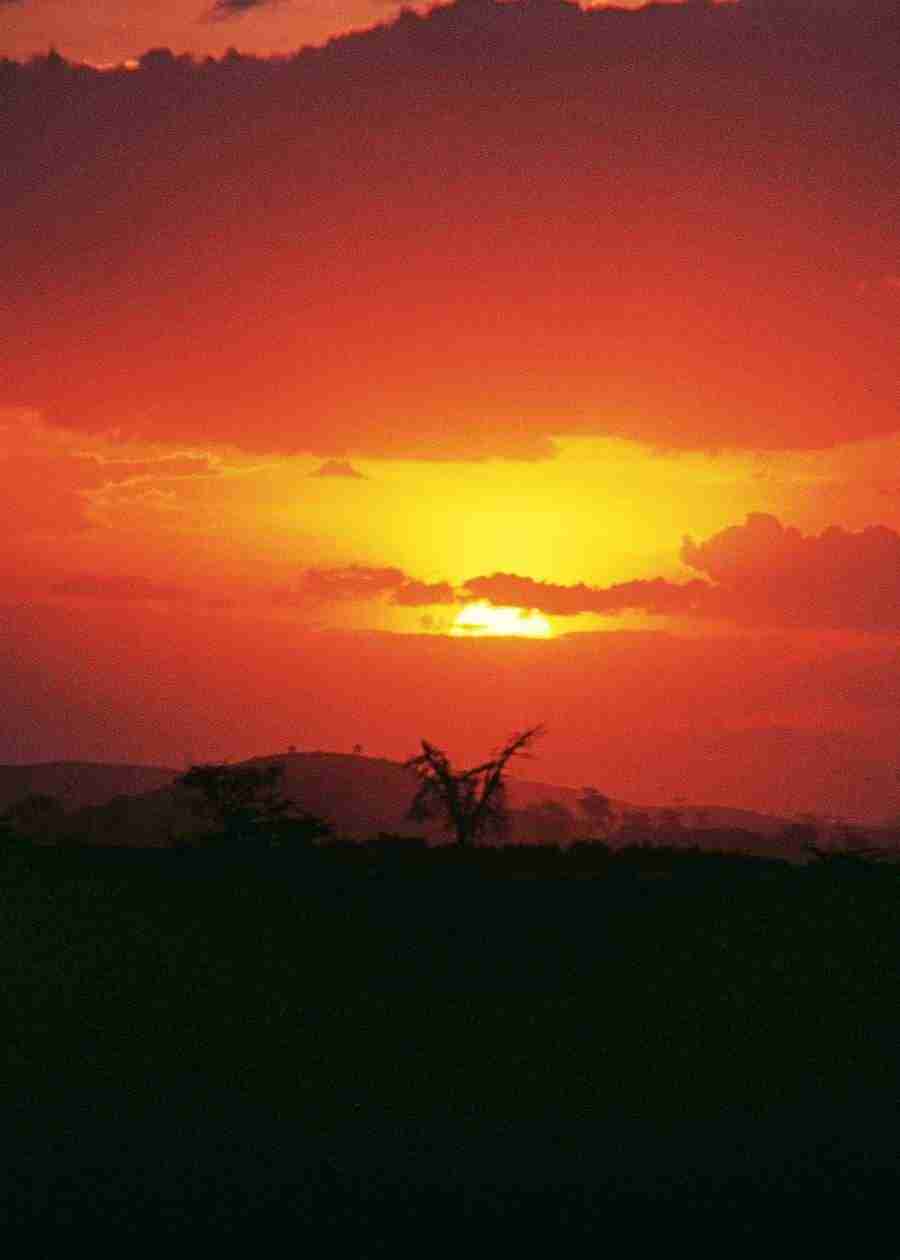 Sky, Grafitti and Fruits - BackArts ></a>
<script language=JavaScript> 
  var txt = 