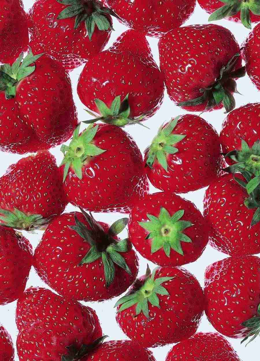 Sky, Grafitti and Fruits - BackArts ></a>
<script language=JavaScript> 
  var txt = 