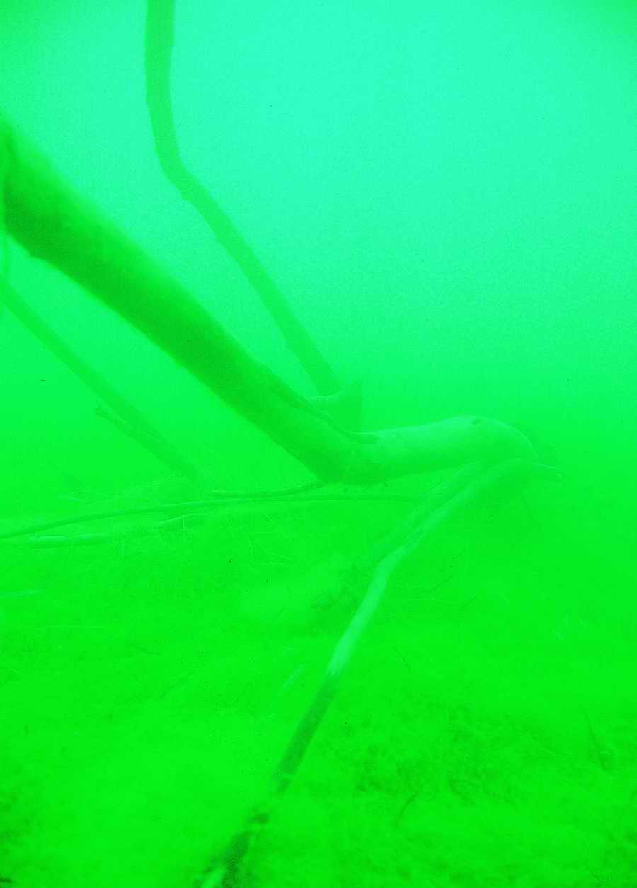 Underwater Fresh - BackArts ></a>
<script language=JavaScript> 
  var txt = 