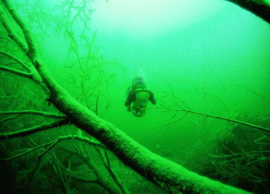 Underwater Fresh - BackArts ></a>
<script language=JavaScript> 
  var txt = 