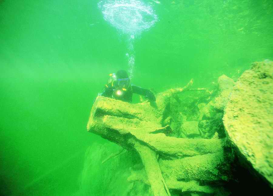 Underwater Fresh - BackArts ></a>
<script language=JavaScript> 
  var txt = 