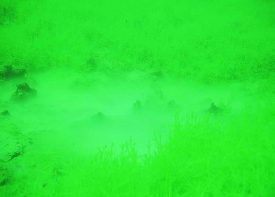 Underwater Fresh - BackArts ></a>
<script language=JavaScript> 
  var txt = 