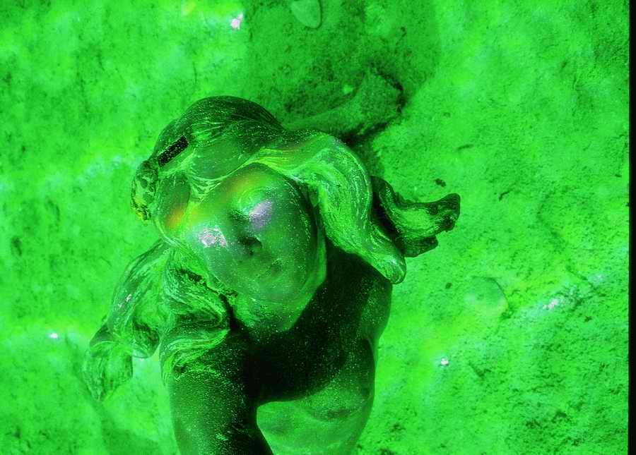 Underwater Fresh - BackArts ></a>
<script language=JavaScript> 
  var txt = 