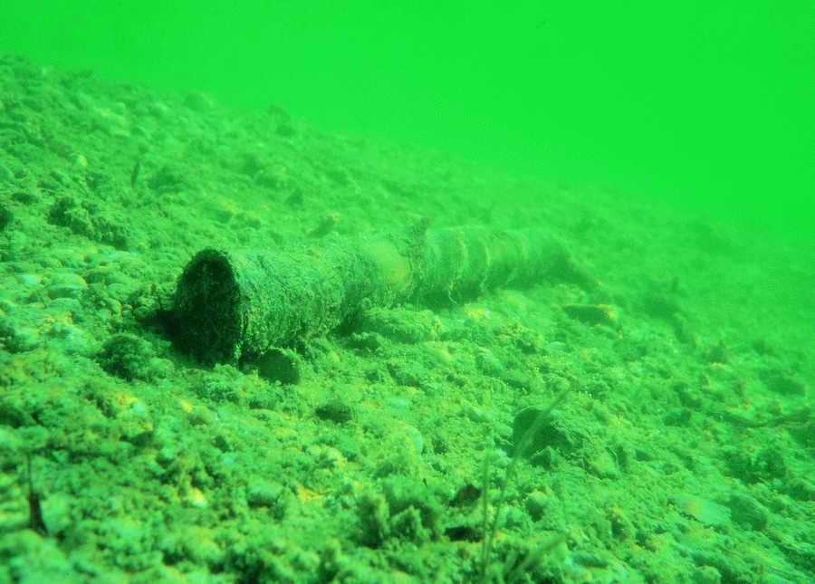 Underwater Fresh - BackArts ></a>
<script language=JavaScript> 
  var txt = 