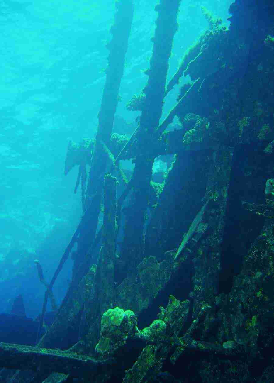 Underwater Saltwater - BackArts ></a>
<script language=JavaScript> 
  var txt = 