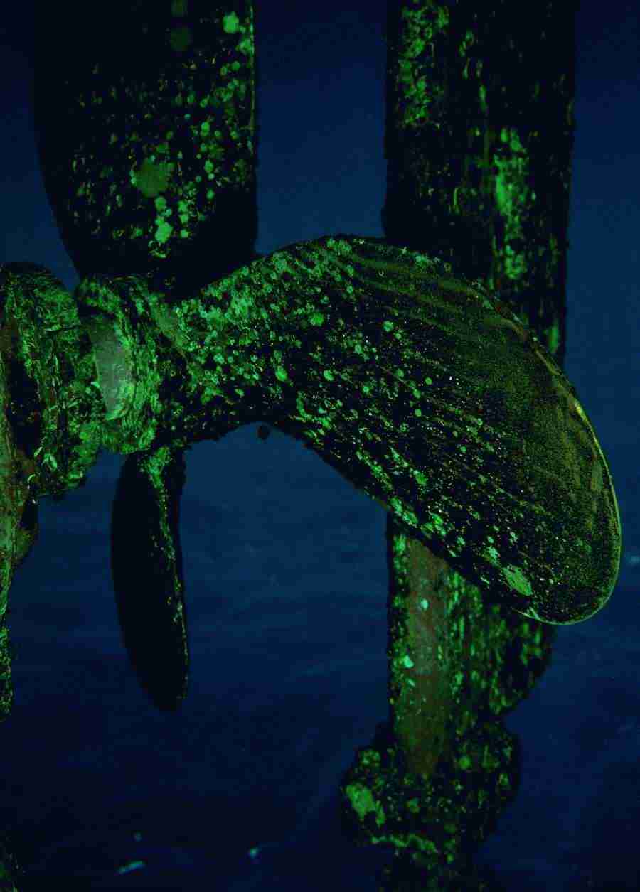 Underwater Saltwater - BackArts ></a>
<script language=JavaScript> 
  var txt = 