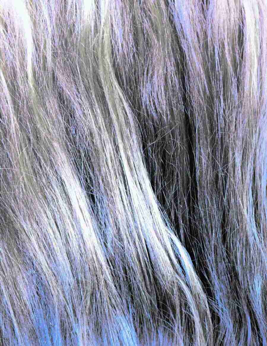 Wood 2 Fur and Body - BackArts ></a>
<script language=JavaScript> 
  var txt = 