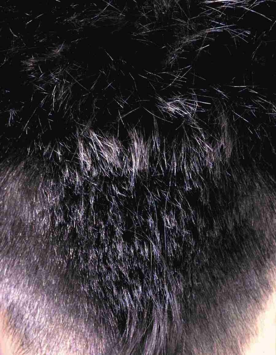 Wood 2 Fur and Body - BackArts ></a>
<script language=JavaScript> 
  var txt = 
