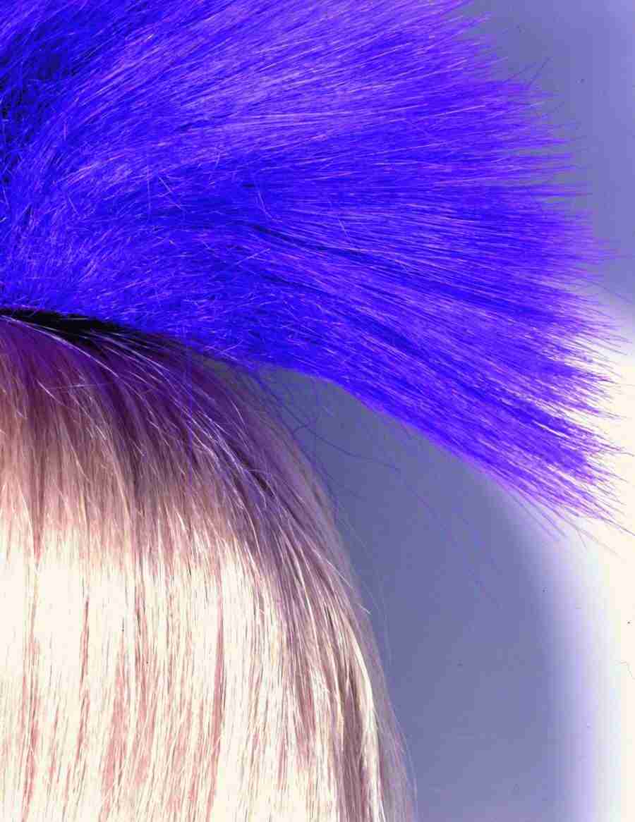 Wood 2 Fur and Body - BackArts ></a>
<script language=JavaScript> 
  var txt = 