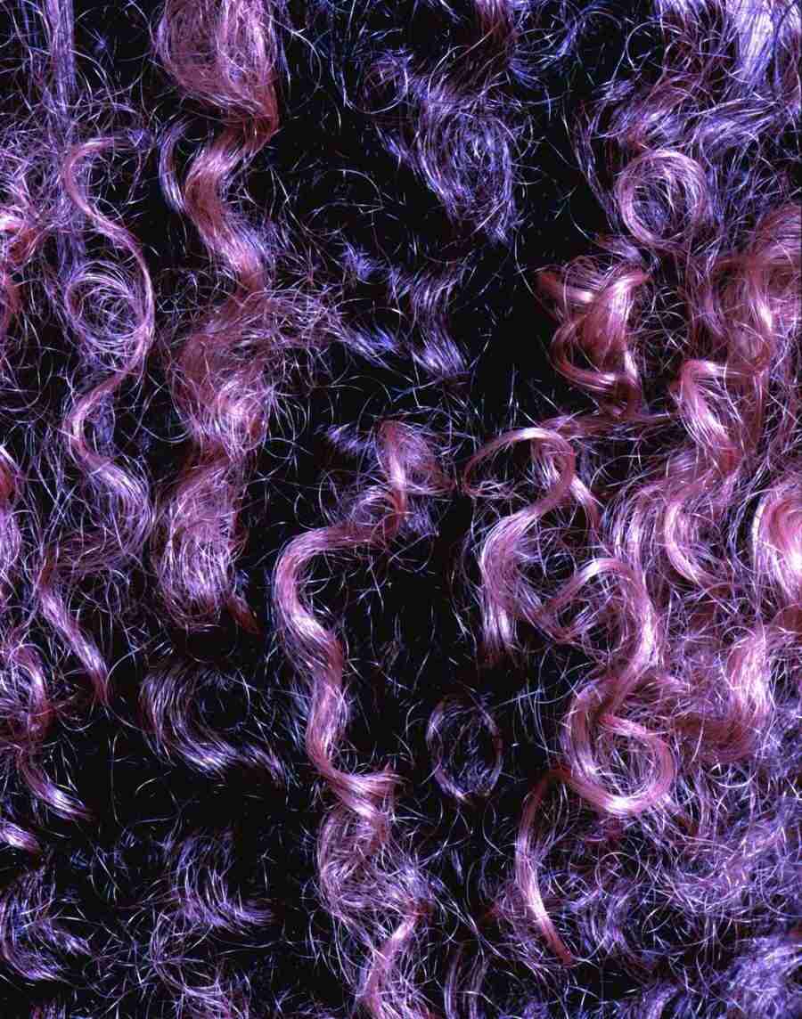 Wood 2 Fur and Body - BackArts ></a>
<script language=JavaScript> 
  var txt = 