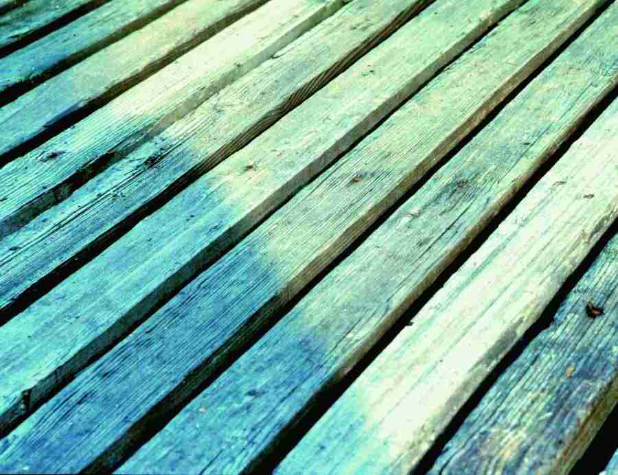 Wood 2 Fur and Body - BackArts ></a>
<script language=JavaScript> 
  var txt = 