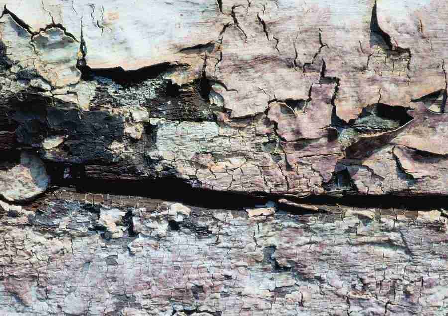 Wood, Stone and Metal - BackArts ></a>
<script language=JavaScript> 
  var txt = 