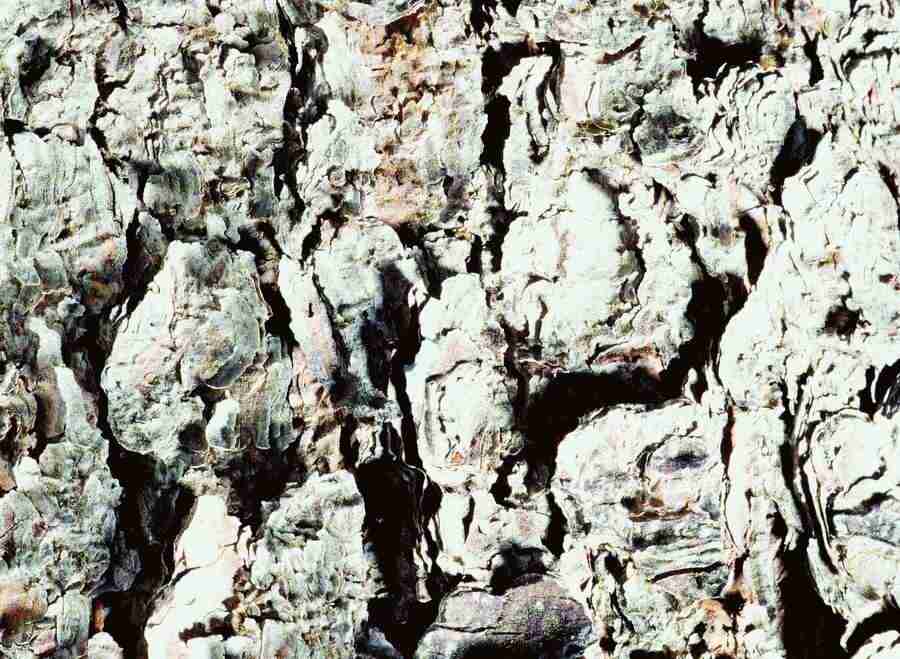 Wood, Stone and Metal - BackArts ></a>
<script language=JavaScript> 
  var txt = 