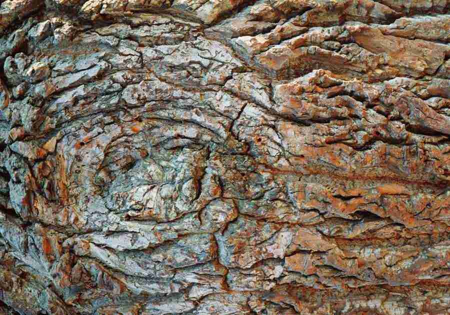 Wood, Stone and Metal - BackArts ></a>
<script language=JavaScript> 
  var txt = 