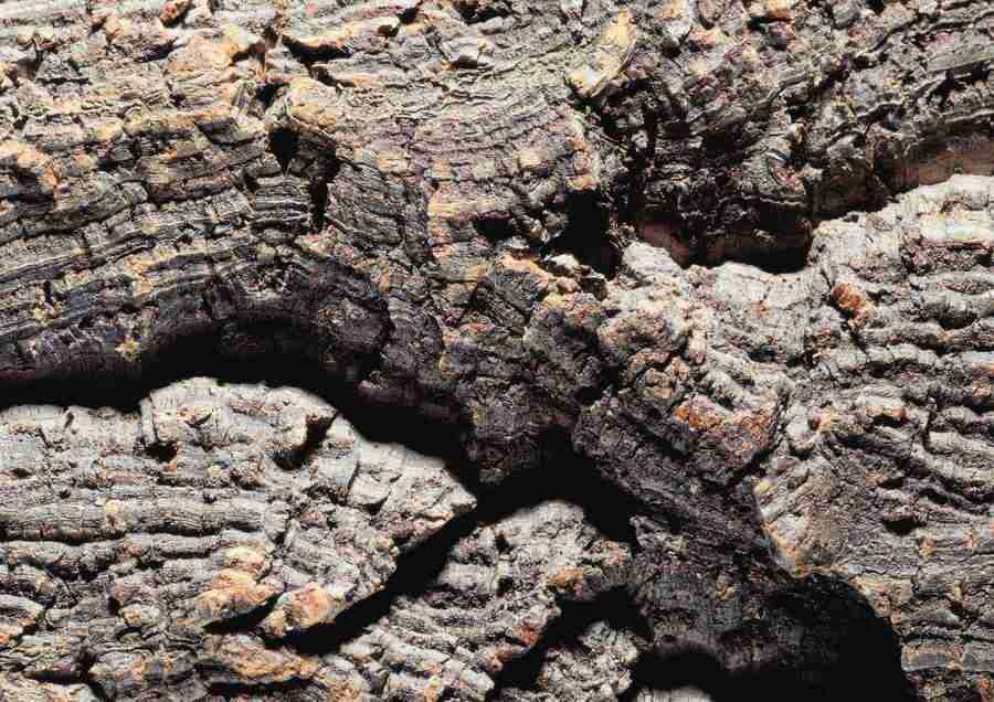 Wood, Stone and Metal - BackArts ></a>
<script language=JavaScript> 
  var txt = 