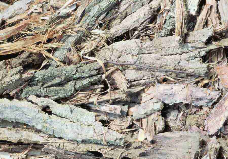 Wood, Stone and Metal - BackArts ></a>
<script language=JavaScript> 
  var txt = 