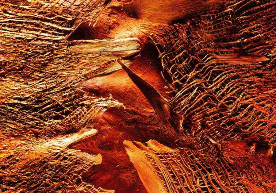 Wood, Stone and Metal - BackArts ></a>
<script language=JavaScript> 
  var txt = 
