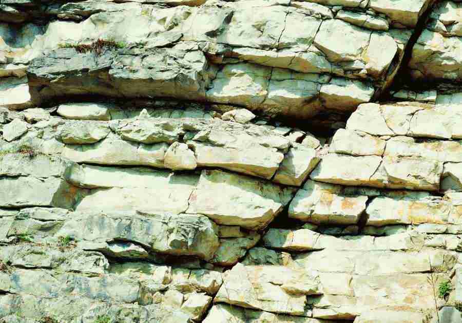 Wood, Stone and Metal - BackArts ></a>
<script language=JavaScript> 
  var txt = 