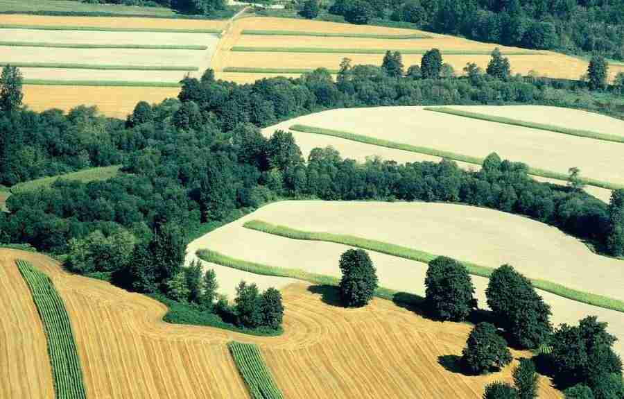 Aerials - Brand X Pictures ></a>
<script language=JavaScript> 
  var txt = 
