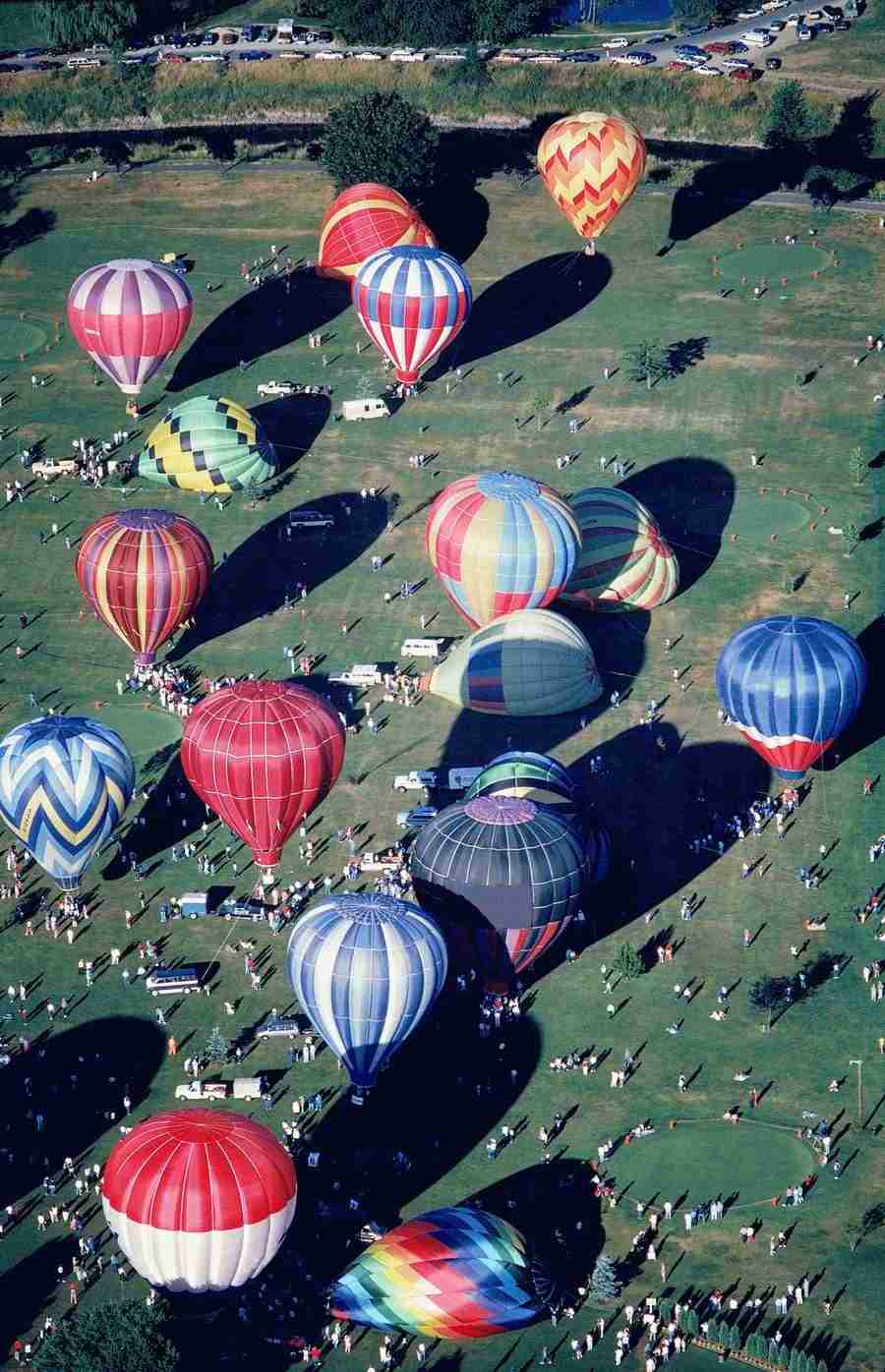 Aerials - Brand X Pictures ></a>
<script language=JavaScript> 
  var txt = 