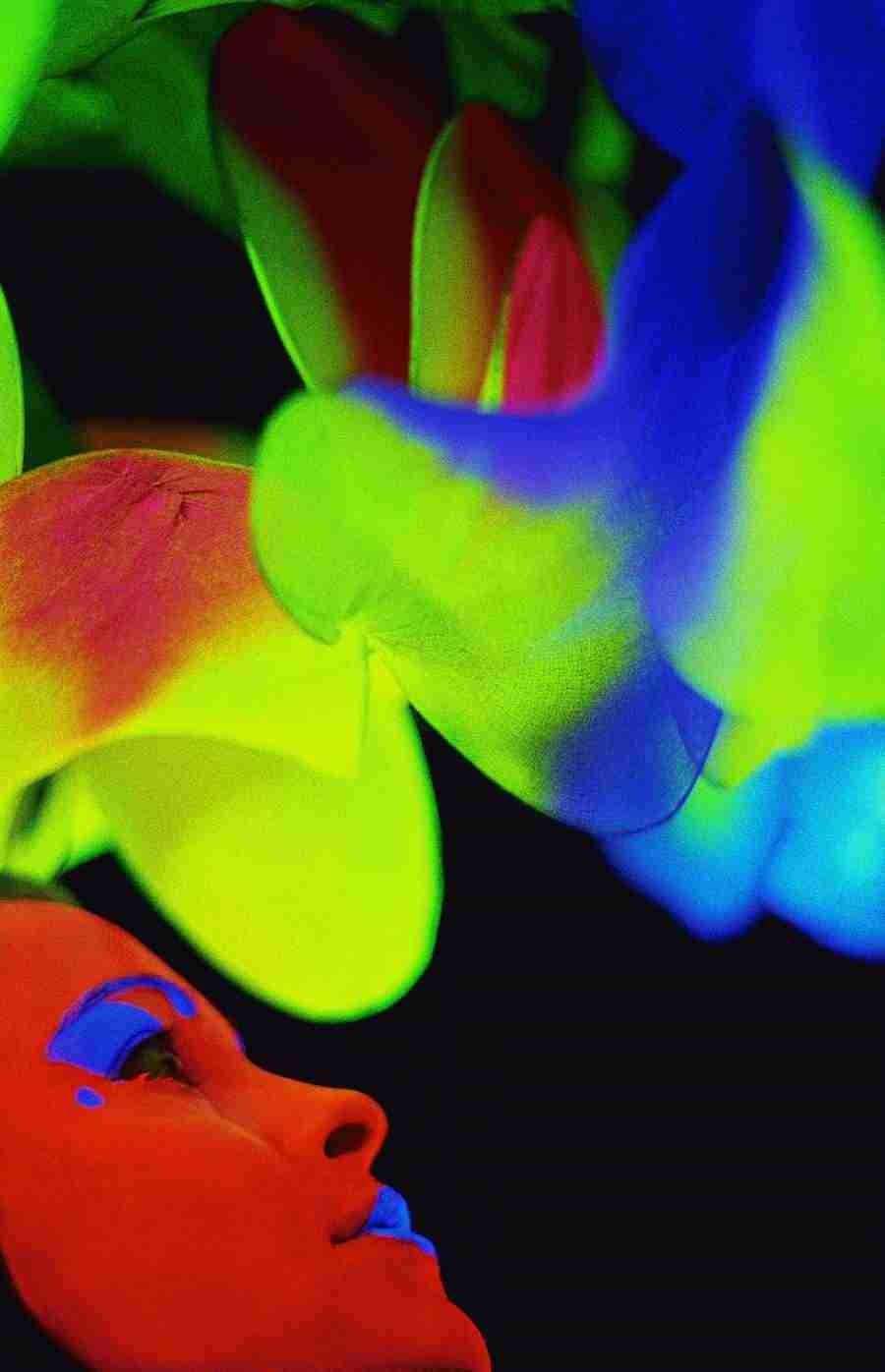 Glow - Brand X Pictures ></a>
<script language=JavaScript> 
  var txt = 
