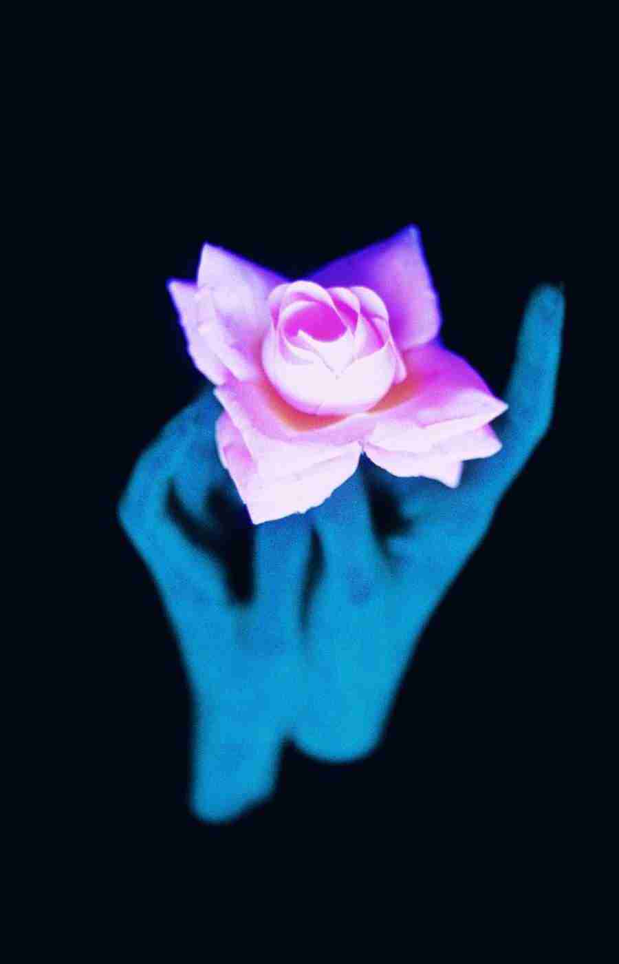 Glow - Brand X Pictures ></a>
<script language=JavaScript> 
  var txt = 