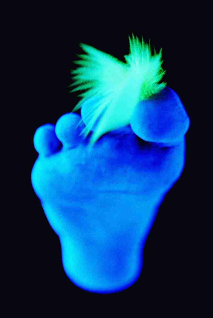 Glow - Brand X Pictures ></a>
<script language=JavaScript> 
  var txt = 