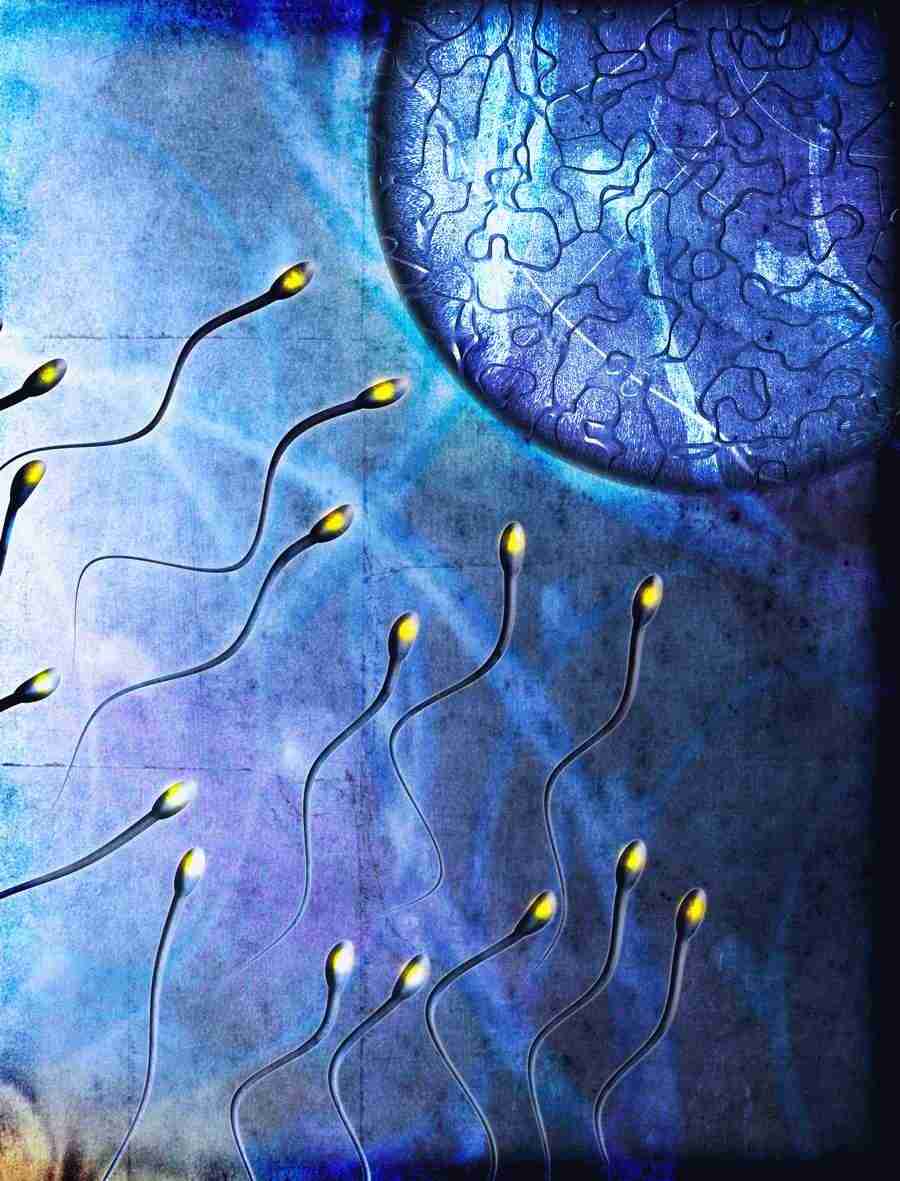 Medical Insight - Brand X Pictures ></a>
<script language=JavaScript> 
  var txt = 