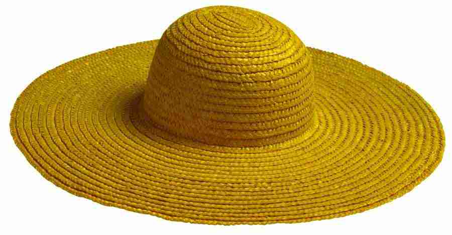 Summer Fun - Brand X Pictures ></a>
<script language=JavaScript> 
  var txt = 