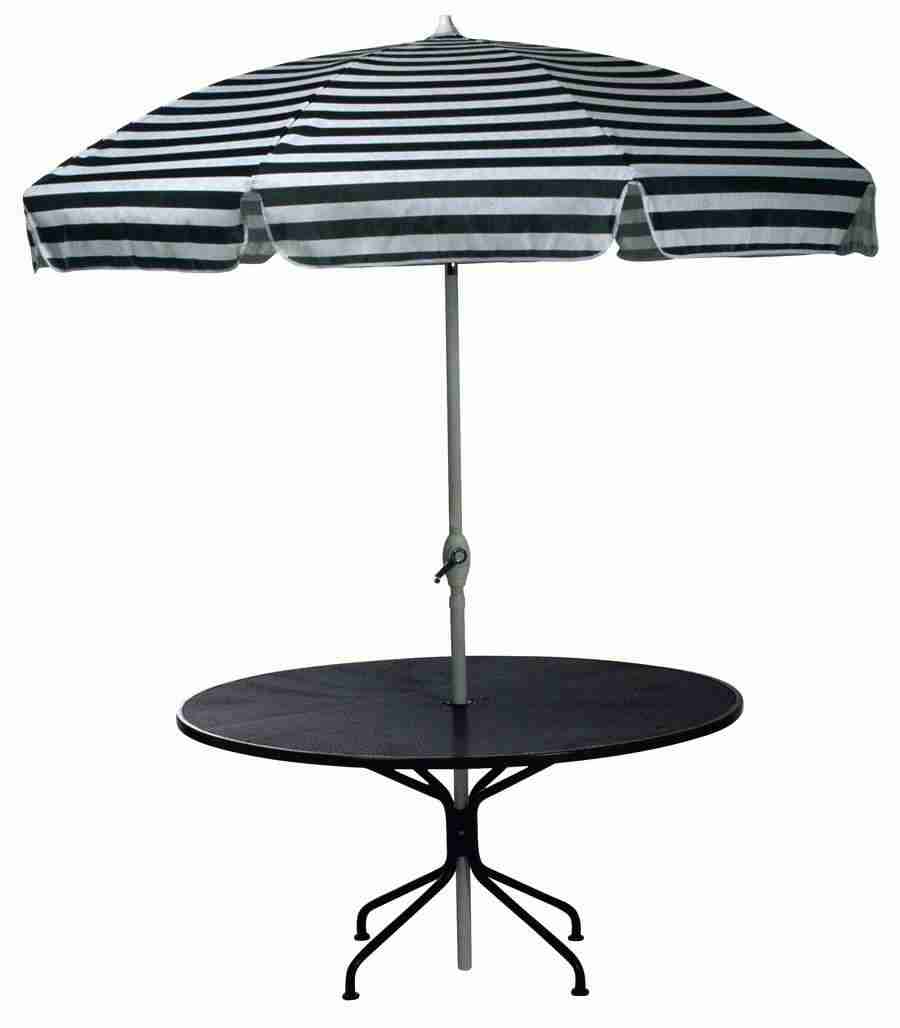 Summer Fun - Brand X Pictures ></a>
<script language=JavaScript> 
  var txt = 