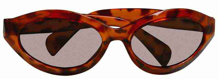 Summer Fun - Brand X Pictures ></a>
<script language=JavaScript> 
  var txt = 