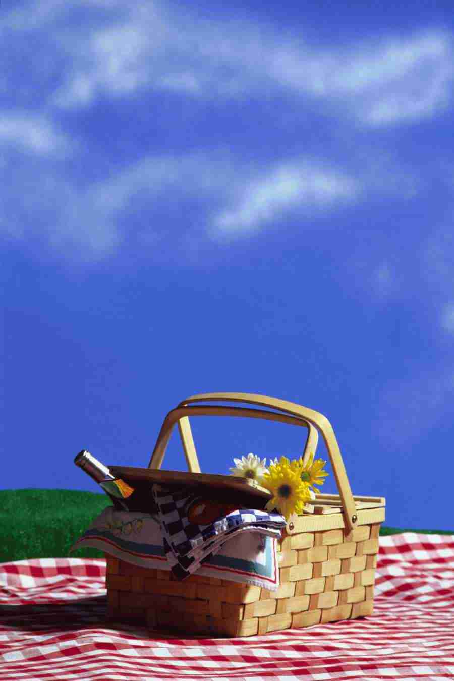 Summer Fun - Brand X Pictures ></a>
<script language=JavaScript> 
  var txt = 