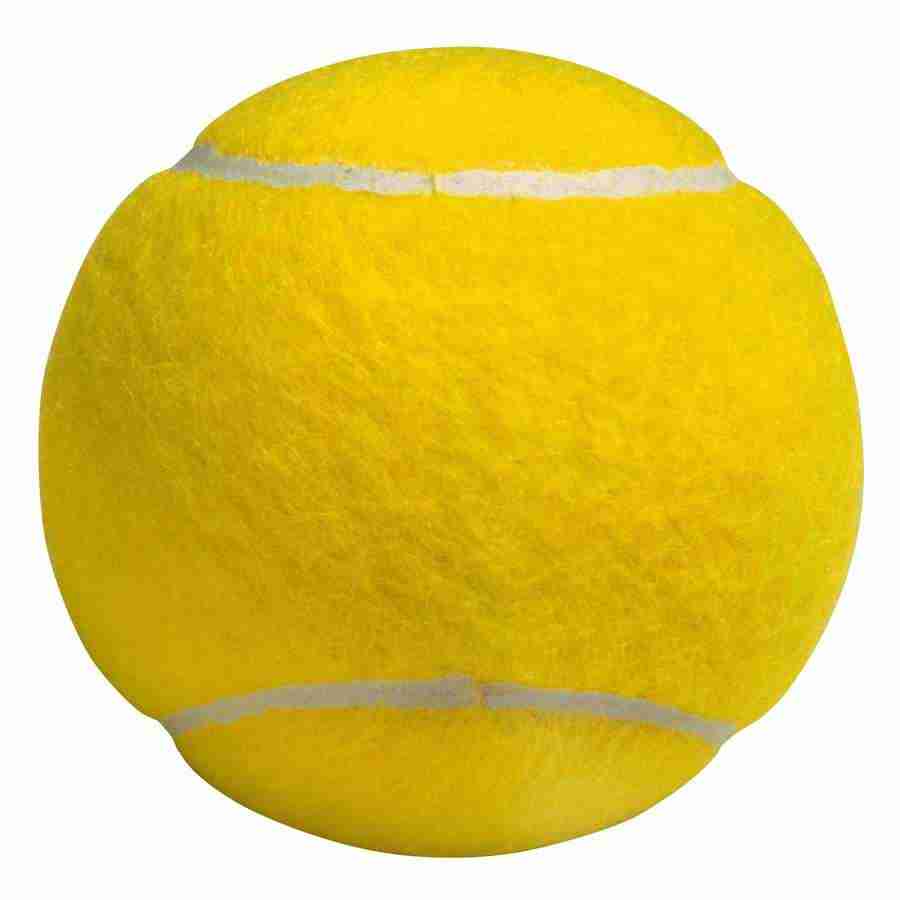 Summer Fun - Brand X Pictures ></a>
<script language=JavaScript> 
  var txt = 