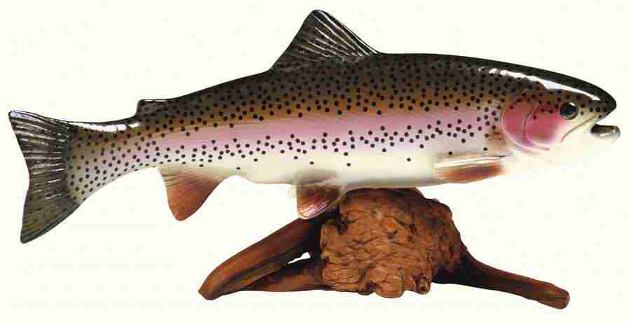 Summer Fun - Brand X Pictures ></a>
<script language=JavaScript> 
  var txt = 