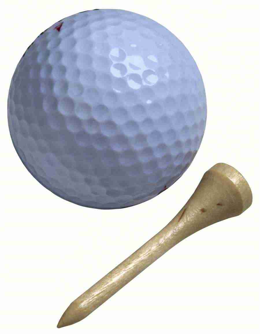 Summer Fun - Brand X Pictures ></a>
<script language=JavaScript> 
  var txt = 