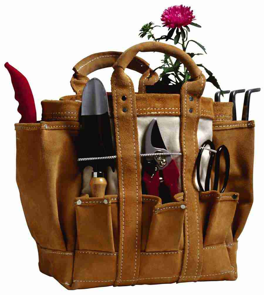 Summer Fun - Brand X Pictures ></a>
<script language=JavaScript> 
  var txt = 