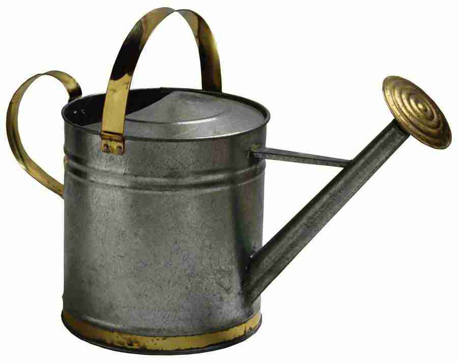 Summer Fun - Brand X Pictures ></a>
<script language=JavaScript> 
  var txt = 